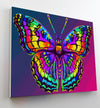 Butterfly paint by number, Butterfly painting, Butterfly painting for kids,  Butterfly painting by numbers uk, washable acrylic paints, butterfly gifts for girls, paint by number on canvas, paint by numbers ready for wall mounting, paint by numbers for kids, paint by numbers for beginners, paint by numbers for children, paint by numbers with frame, framed paint by numbers, butterfly gifts for girls, gifts for butterfly lovers, butterfly gifts for women, Butterfly gifts for kid, arts and crafts for adult