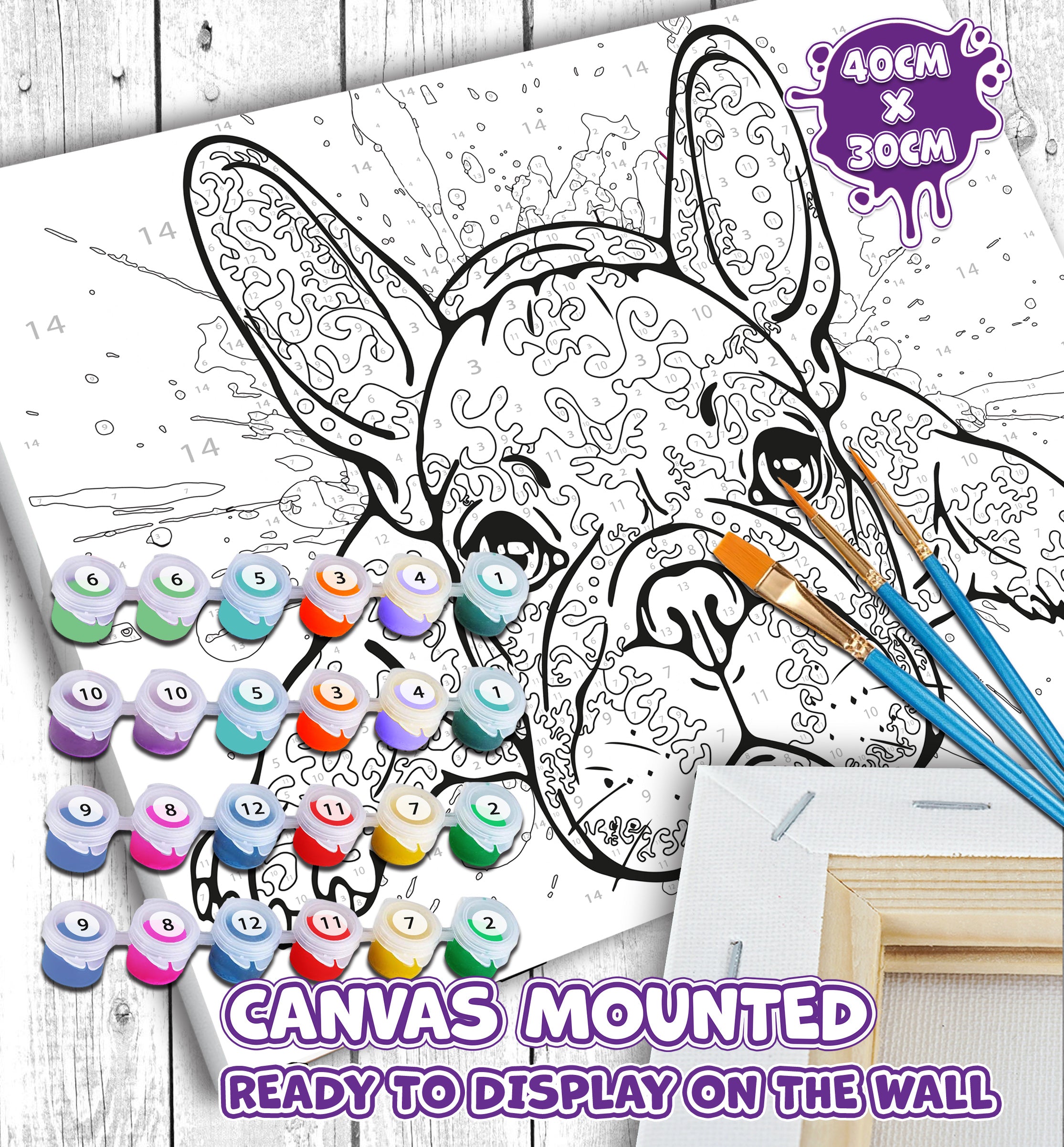 French Bulldog paint by number, French Bulldog painting, Dog painting for kids, Dog painting easy, French Bulldog painting set, washable acrylic paints,  gifts for girls, paint by number on canvas, paint by numbers ready for wall mounting, paint by numbers for kids, paint by numbers for beginners, paint by numbers for children, paint by numbers with frame, framed paint by numbers, French bulldog gifts,  French bulldog toys, French Bulldog Art, arts and crafts for adults, fluorescent paints, UV Neon Paints