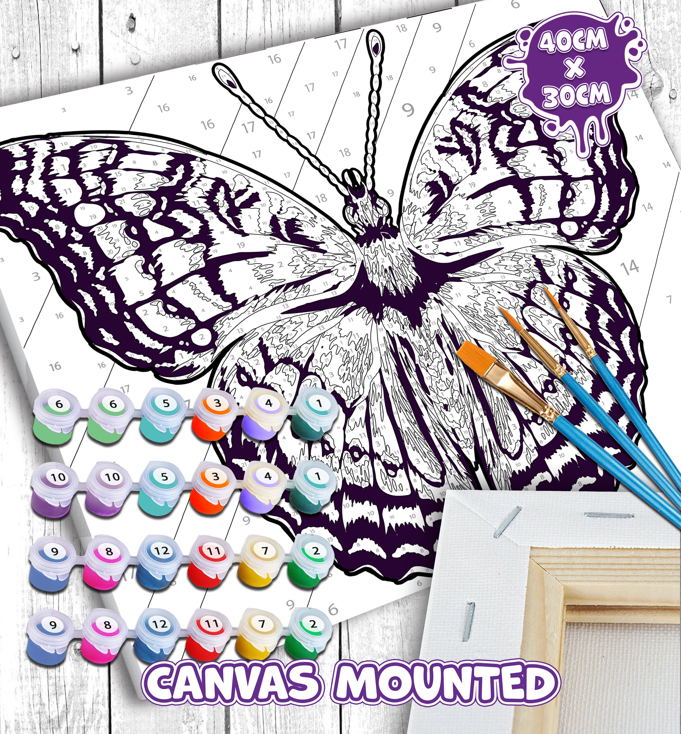 Butterfly paint by number, Butterfly painting, Butterfly painting for kids,  Butterfly painting by numbers uk, washable acrylic paints, butterfly gifts for girls, paint by number on canvas, paint by numbers ready for wall mounting, paint by numbers for kids, paint by numbers for beginners, paint by numbers for children, paint by numbers with frame, framed paint by numbers, butterfly gifts for girls, gifts for butterfly lovers, butterfly gifts for women, Butterfly gifts for kid, arts and crafts for adult